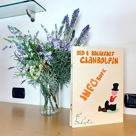 Nocleg ze śniadaniem Cianbolpin 3*
