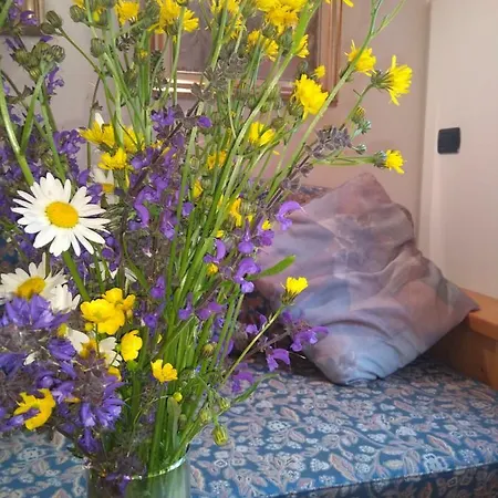 Cianbolpin Frühstückspension Canazei