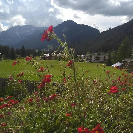 Cianbolpin Oda ve Kahvaltı