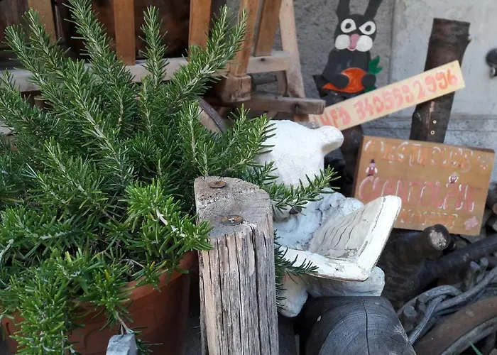 Cianbolpin לינה וארוחת בוקר 3*