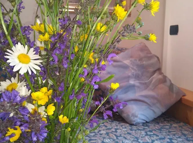 Cianbolpin Bed & Breakfast Canazei