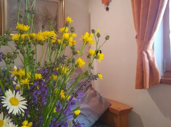 Cianbolpin Bed & Breakfast